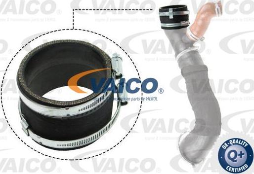 VAICO V25-1031 - Трубка, нагнетание воздуха avtokuzovplus.com.ua