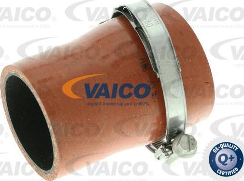 VAICO V25-1035 - Трубка нагнітається повітря autocars.com.ua