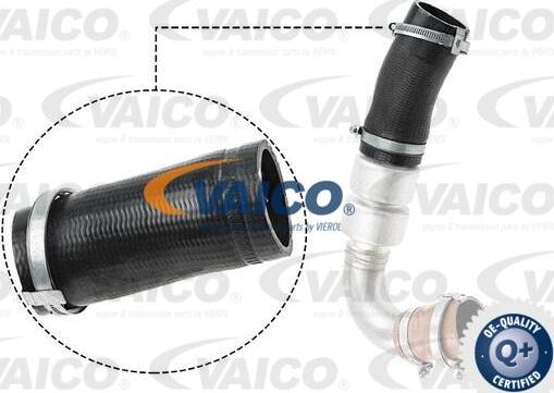 VAICO V25-1036 - Трубка нагнітається повітря autocars.com.ua