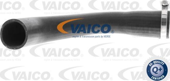 VAICO V25-1041 - Трубка нагнітається повітря autocars.com.ua