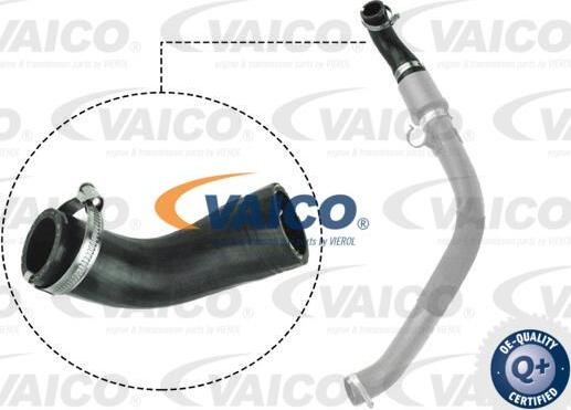VAICO V25-1044 - Трубка нагнітається повітря autocars.com.ua