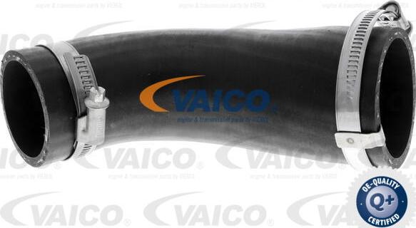 VAICO V25-1046 - Трубка нагнітається повітря autocars.com.ua