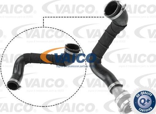 VAICO V25-1049 - Трубка нагнітається повітря autocars.com.ua