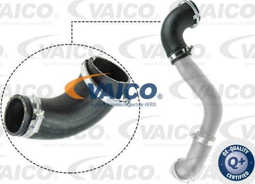 VAICO V25-1050 - Трубка нагнітається повітря autocars.com.ua