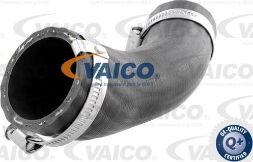 VAICO V25-1051 - Трубка, нагнетание воздуха avtokuzovplus.com.ua