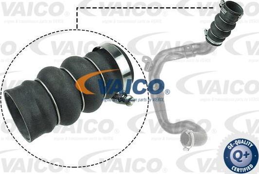 VAICO V25-1052 - Трубка нагнітається повітря autocars.com.ua