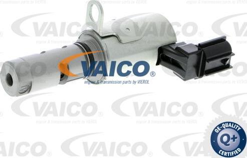 VAICO V25-1188 - Регулюючий клапан, виставлення розподільного вала autocars.com.ua