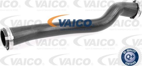 VAICO V25-1247 - Трубка нагнітається повітря autocars.com.ua