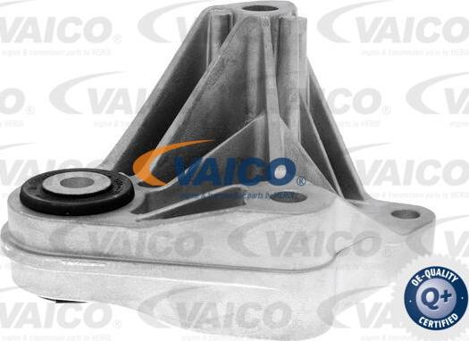 VAICO V25-1258 - Подушка, підвіска двигуна autocars.com.ua