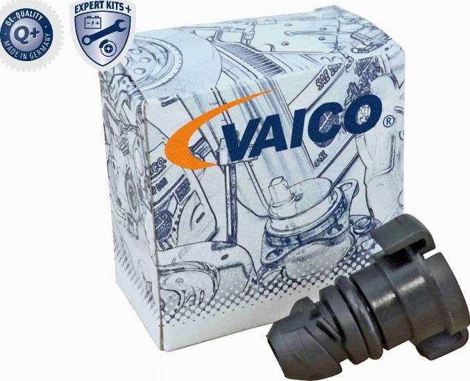 VAICO V25-1293 - Резьбовая пробка, масляний піддон autocars.com.ua