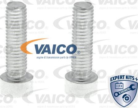 VAICO V25-1300 - Диференційний масляний фільтр autocars.com.ua
