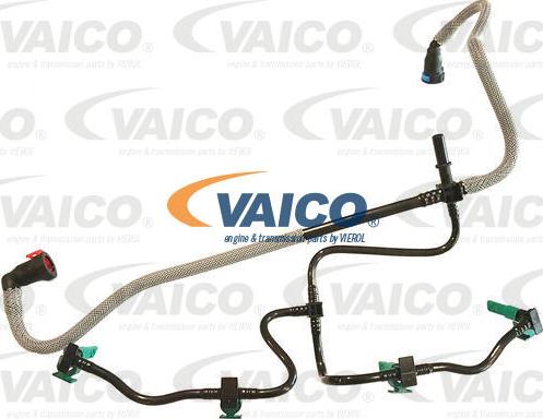 VAICO V25-1480 - Шланг, витік палива autocars.com.ua