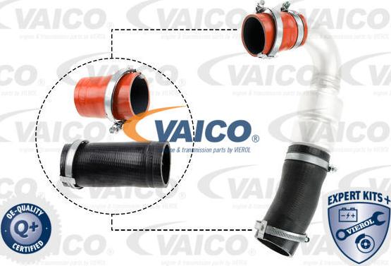 VAICO V25-1920 - Трубка, нагнетание воздуха avtokuzovplus.com.ua