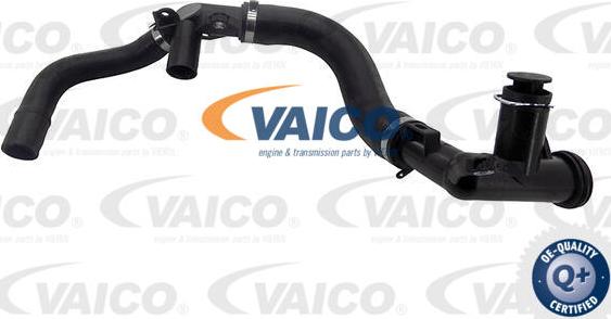 VAICO V25-2335 - Шланг радиатора avtokuzovplus.com.ua