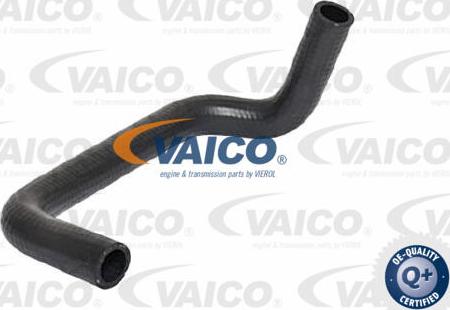 VAICO V25-2556 - Шланг радиатора avtokuzovplus.com.ua