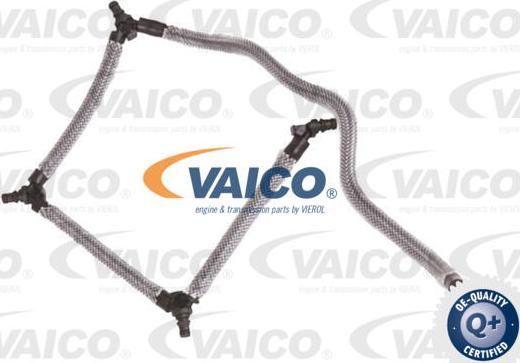 VAICO V25-2559 - Шланг, утечка топлива avtokuzovplus.com.ua