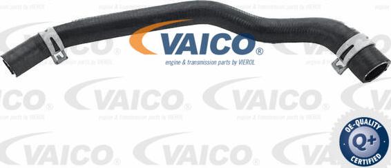 VAICO V25-2564 - Шланг радіатора autocars.com.ua