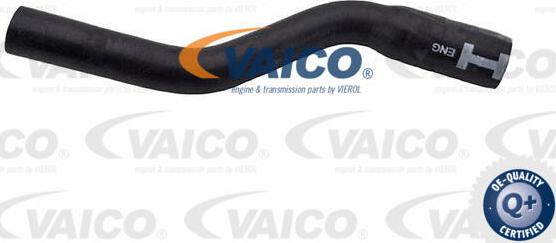 VAICO V25-2567 - Шланг радиатора avtokuzovplus.com.ua