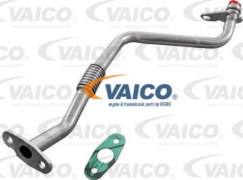 VAICO V25-2592 - Трубка, маслопровод компрессора avtokuzovplus.com.ua