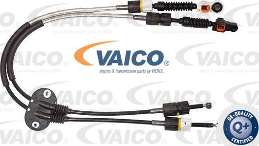 VAICO V25-2648 - Трос, ступінчаста коробка передач autocars.com.ua