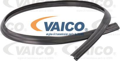 VAICO V25-9701 - Прокладка, ветровое стекло avtokuzovplus.com.ua
