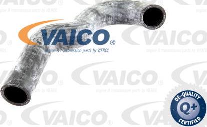 VAICO V300227 - Шланг радиатора autodnr.net