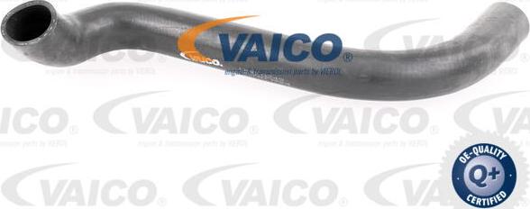 VAICO V30-0249 - Шланг радиатора avtokuzovplus.com.ua