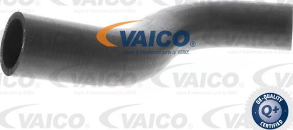 VAICO V30-0701 - Шланг радиатора autodnr.net