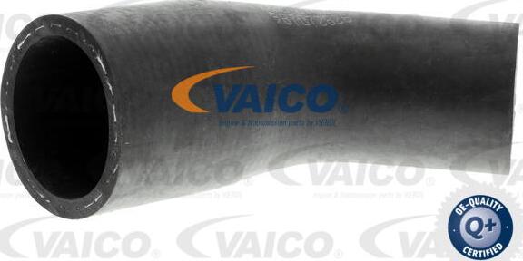 VAICO V300702 - Шланг радиатора autodnr.net