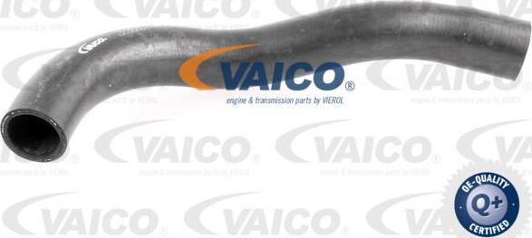 VAICO V300719 - Шланг радиатора autodnr.net