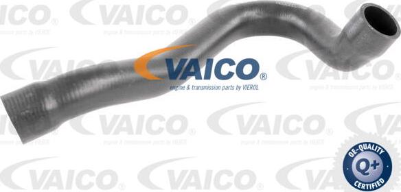 VAICO V300722 - Шланг радиатора autodnr.net