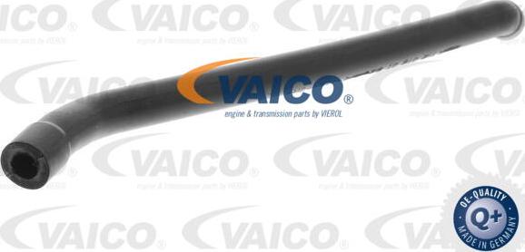 VAICO V30-0862 - Шланг, вентиляція картера autocars.com.ua
