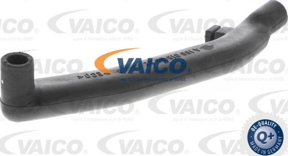 VAICO V300938 - Шланг, система подачі повітря autocars.com.ua