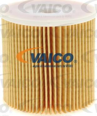 VAICO V30-1022 - Топливный фильтр avtokuzovplus.com.ua