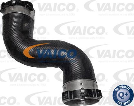 VAICO V30-1065 - Трубка, нагнетание воздуха autodnr.net