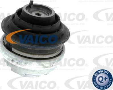 VAICO V30-1113-1 - Подушка, опора, подвеска двигателя autodnr.net
