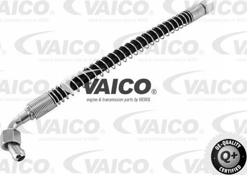 VAICO V30-1133 - Шланг, теплообменник для охлаждения трансмиссионного масла avtokuzovplus.com.ua