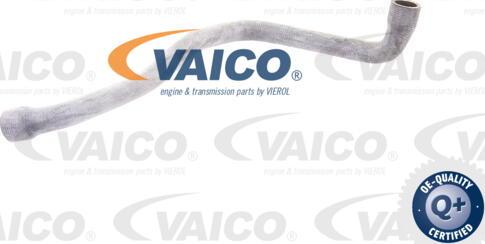 VAICO V30-1579 - Шланг радіатора autocars.com.ua