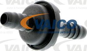 VAICO V30-1615 - Клапан, отвода воздуха из картера avtokuzovplus.com.ua