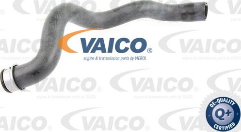 VAICO V30-1663 - Шланг радіатора autocars.com.ua