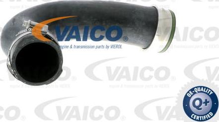 VAICO V30-1772 - Трубка, нагнетание воздуха autodnr.net