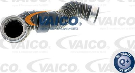 VAICO V30-1775 - Трубка нагнітається повітря autocars.com.ua