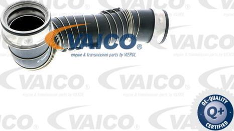 VAICO V30-1777 - Трубка нагнітається повітря autocars.com.ua