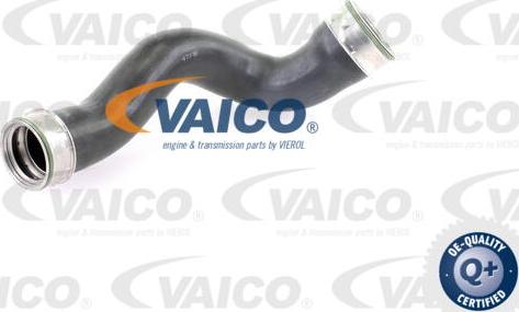 VAICO V30-1779 - Трубка нагнітається повітря autocars.com.ua