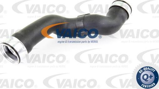 VAICO V30-1781 - Трубка нагнітається повітря autocars.com.ua