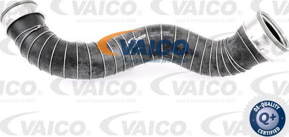 VAICO V30-1788 - Трубка, нагнетание воздуха autodnr.net