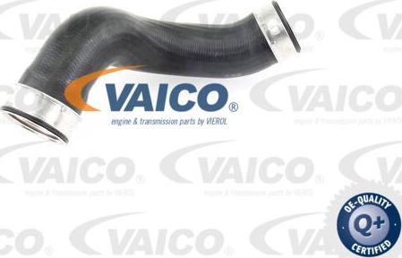 VAICO V30-1789 - Трубка нагнітається повітря autocars.com.ua