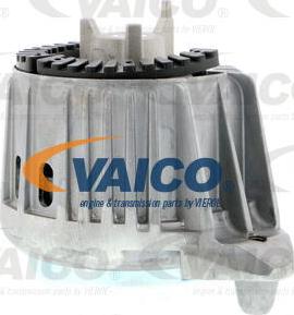 VAICO V30-1859 - Подушка, опора, подвеска двигателя avtokuzovplus.com.ua