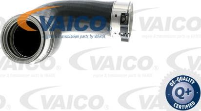 VAICO V30-1872 - Трубка нагнітається повітря autocars.com.ua