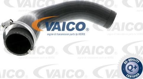 VAICO V30-1873 - Трубка, нагнетание воздуха autodnr.net